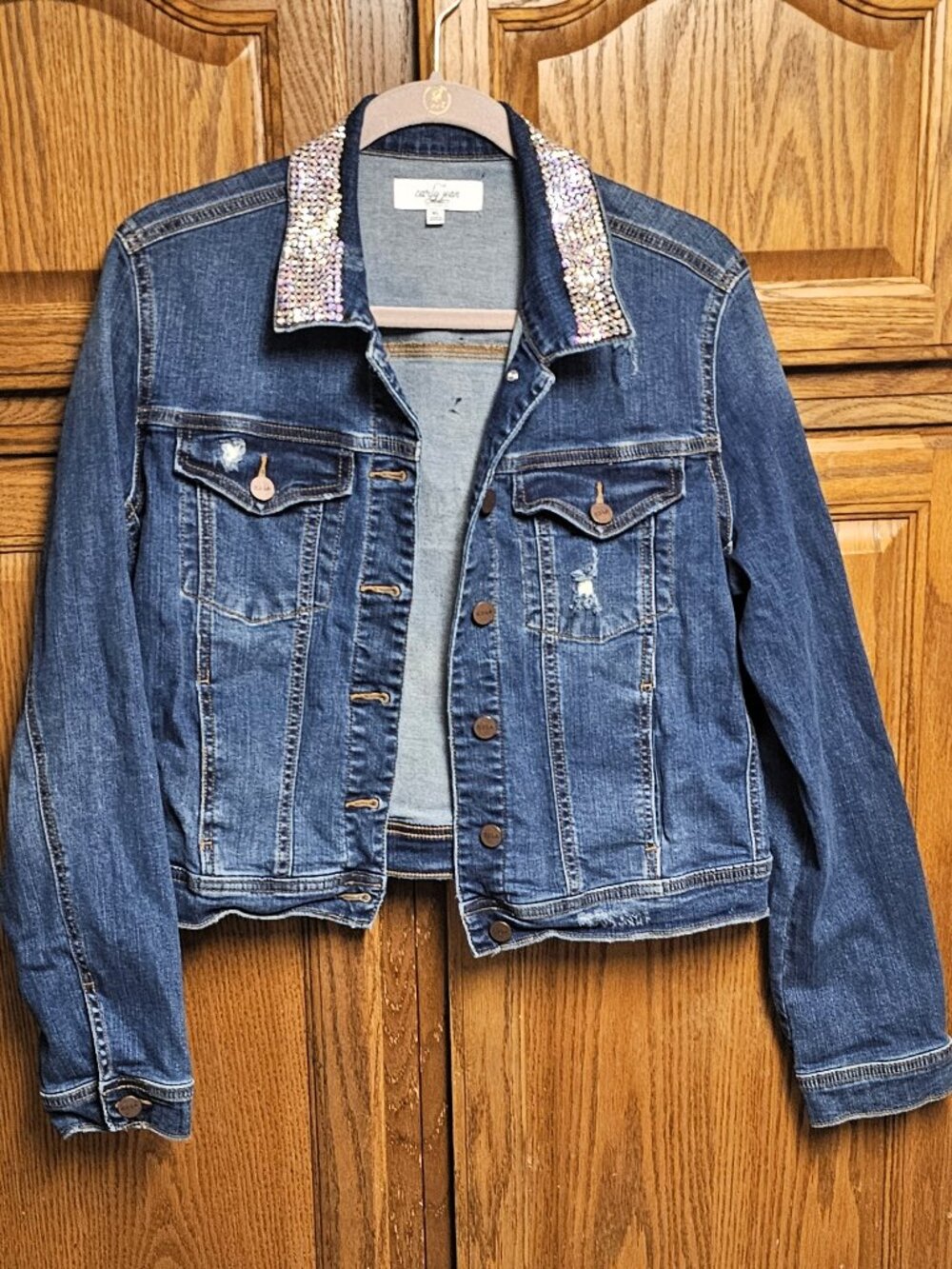 ✨ Carly Jean Los Angeles Rhinestone Denim Jacket XL | Statement Crystal Collar
